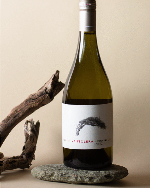 Ventolera - Sauvignon Blanc - Imagen 2